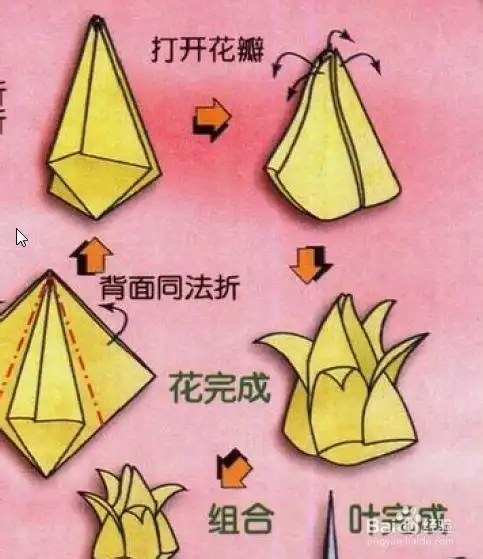 花卉折纸系列2郁金香