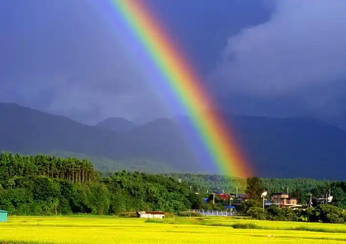彩虹 动力火车|动力火车|彩虹|天空_新浪新闻