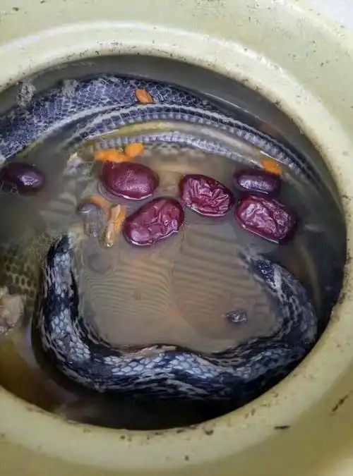 鱼佬食庄欢迎你