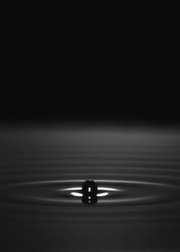 500_700竖版 竖屏gif 动态图 动图