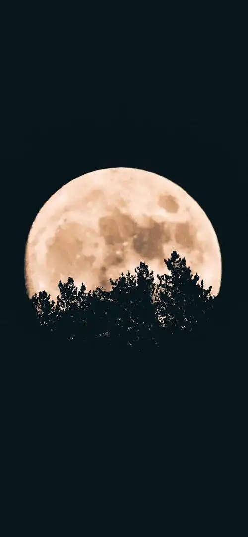 全面屏壁纸高清 | 苹果,安卓手机壁纸