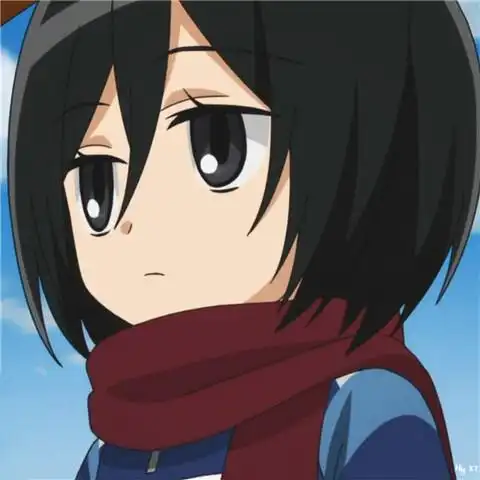 三笠- 堆糖,美图壁纸兴趣社区