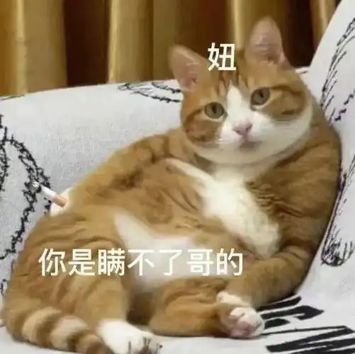 沙雕表情包,萌点满满!