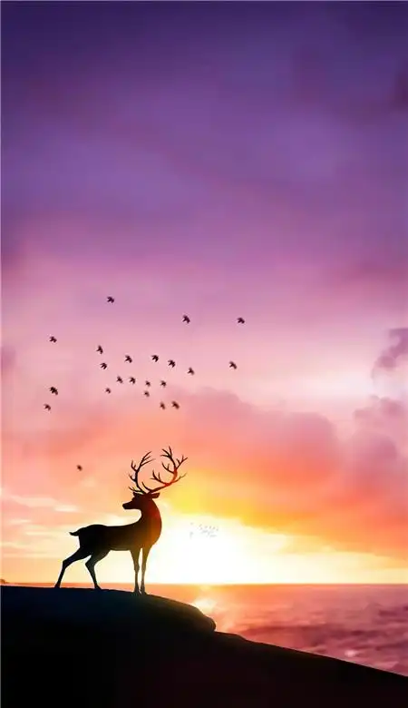 2021最新好看风景手机壁纸唯美意境壁纸皮肤高清图片