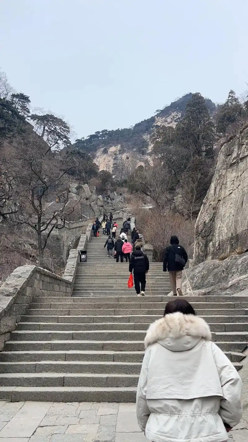 希望明天早上醒来腿不要疼,毕竟我嘴狠硬…#泰山十八盘 #泰山 - 抖音