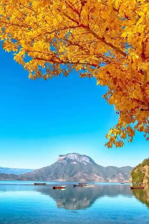 中国风景优美的地方中国风景