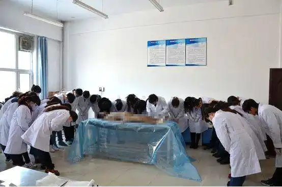 耶鲁医学生陷"尸体猥亵门",你在解剖课上这样做过吗?