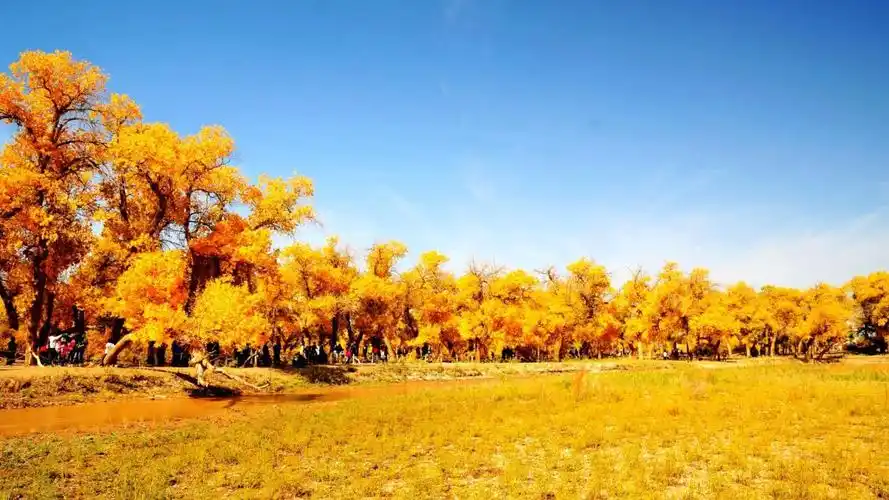 盘点中国五大最美秋景: 稻城亚丁在列, 错过再等一年!