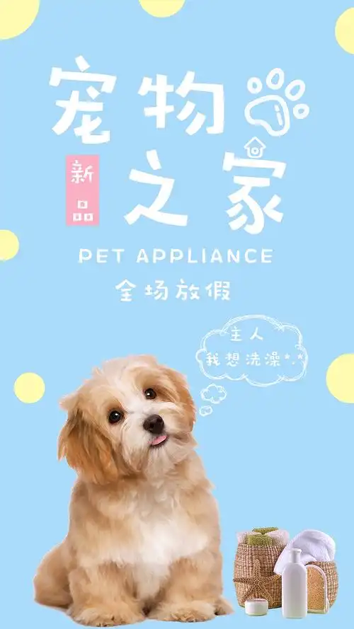 萌宠|平面|海报|happynessss_原创作品-站酷zcool