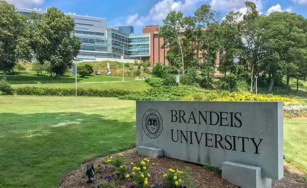 美国留学院校丨全美最年轻的主要研究院大学:布兰迪斯大学 - 一森留学