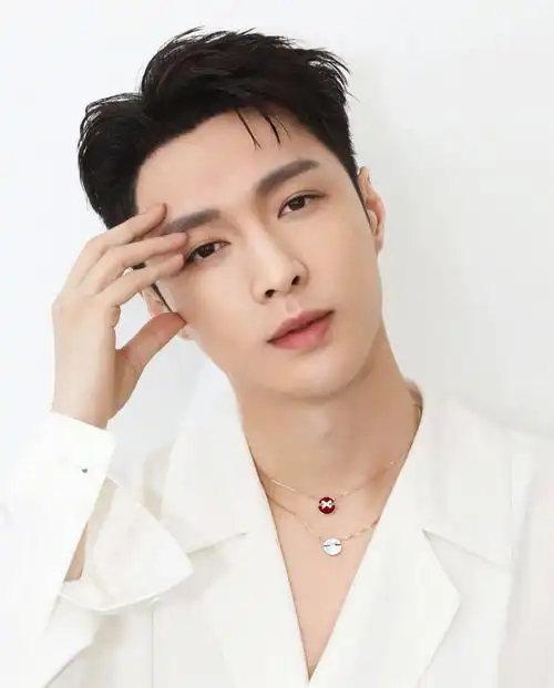 知乎宝藏 的想法: 张艺兴,中国内地流行乐男歌手, | 张艺兴(lay) br>