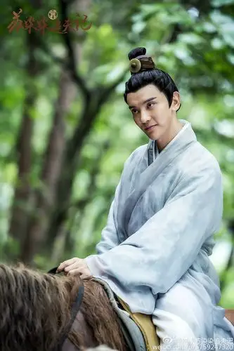 《苏染染追夫记》是北京壹加传媒有限公司承制的古装武侠网络剧,由 a