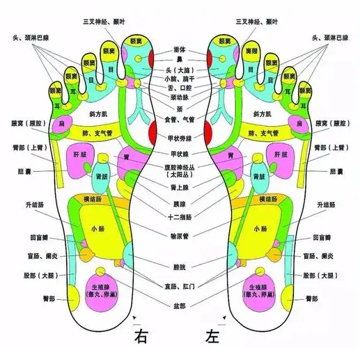 睡前贴一贴,比健身还管用!消浮肿,气色好,腰都变细了