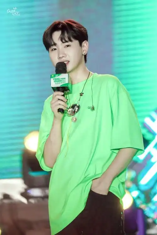 绿色的汪苏泷你可吗