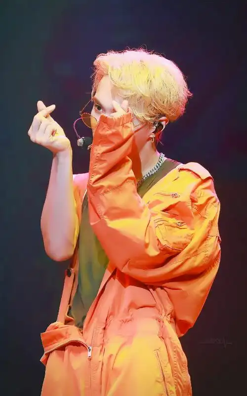 张艺兴 大航海演唱会 (侵删)