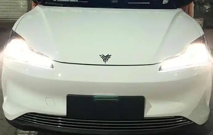 评论帮忙投票哪吒v改车标图123哪个好看