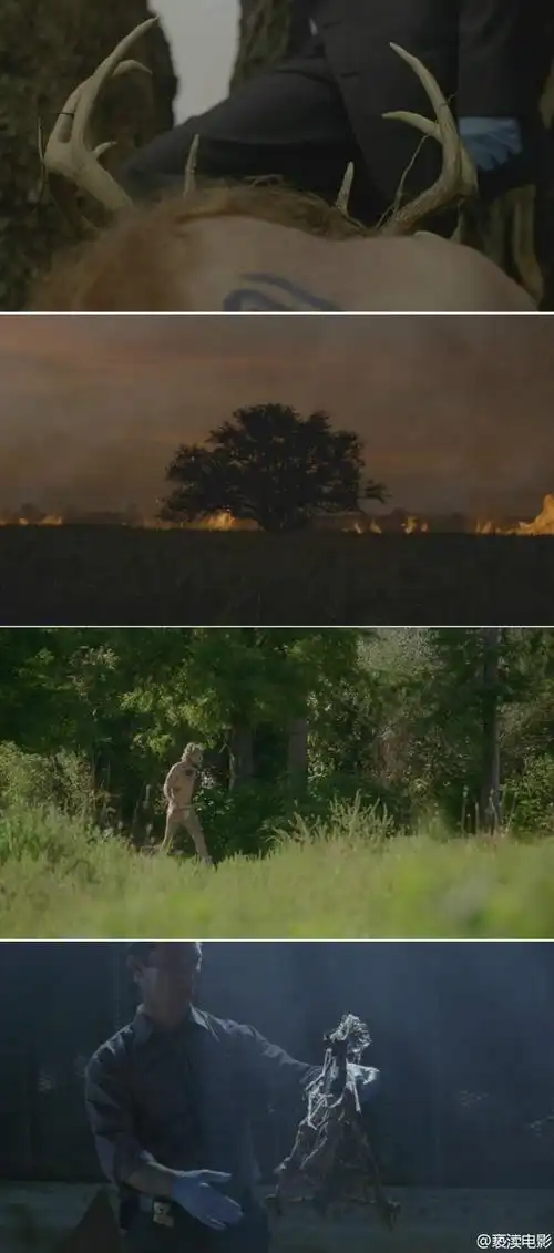 hbo新剧《真探 第一季》slow boil 预告片o网页链接 《真探》由【无名