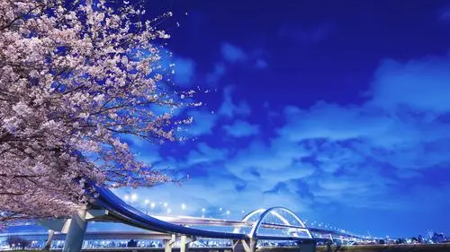 绚丽日本樱花唯美高清桌面壁纸.