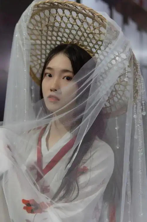 喜圣多新品面纱女古代汉服配饰春时汉服重工水晶帘帷幕武侠古风纱笠