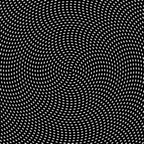 500_500gif 动态图 动图