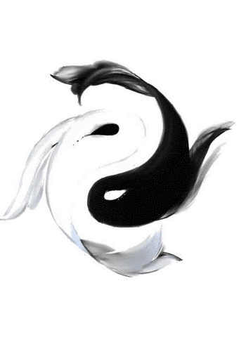 善恶之报,如影随形."_八卦