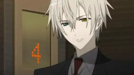 动漫人物男的银发两只眼睛不一样