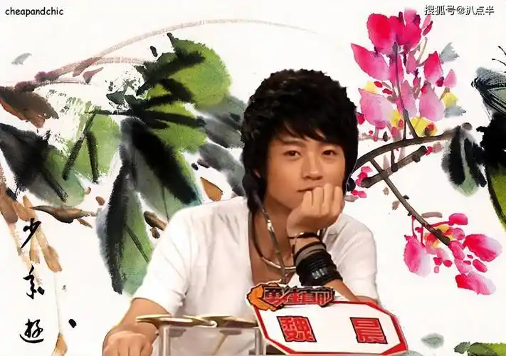 "体面人"魏晨:曾是初代爱豆,缘何高开低走?