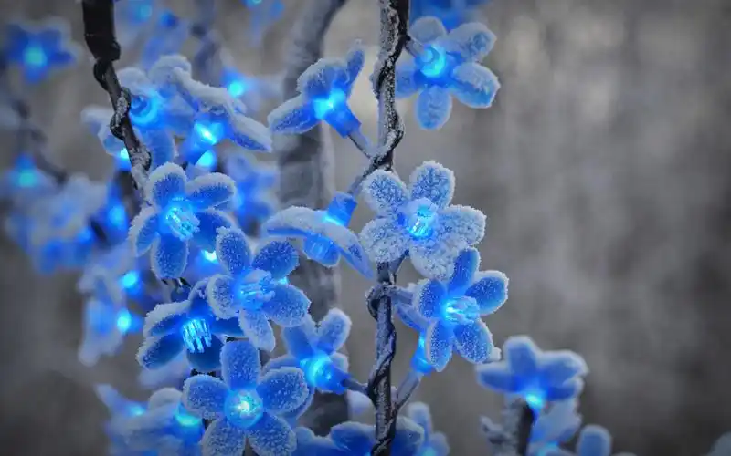 节日灯,蓝色的花 壁纸 - 2880x1800