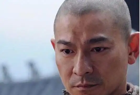 男星光头照,何炅,刘德华.你们觉得谁最帅?