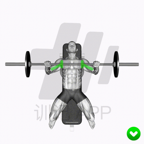 新手胸肌训练指南多图