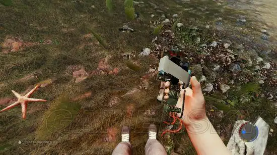 《森林》武器位置图示 森林武器在哪