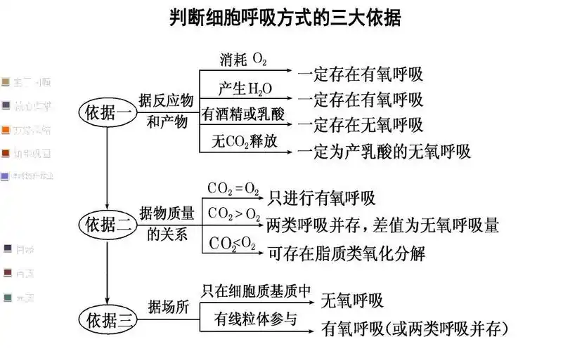 细胞呼吸方式判断,影响呼吸因素和应用