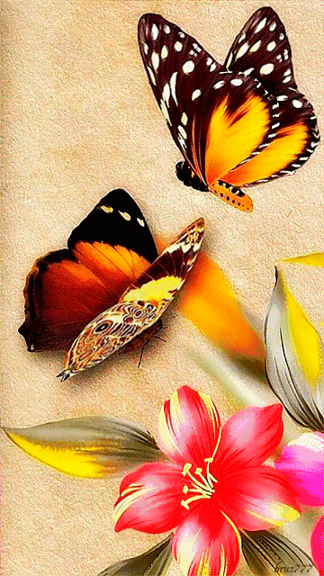 360_640竖版 竖屏gif 动态图 动图