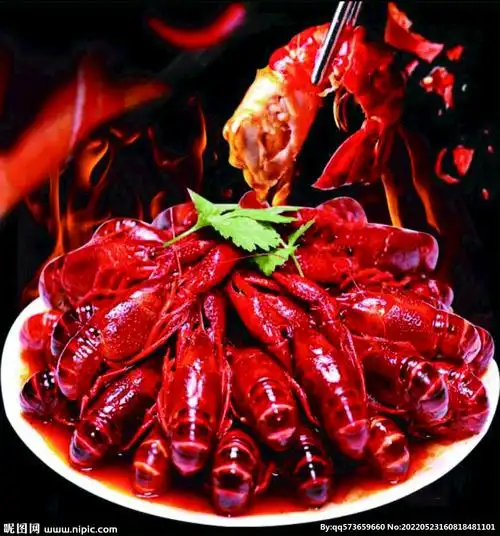 小龙虾设计图__psd分层素材_psd分层素材_设计图库_昵图网nipic.com