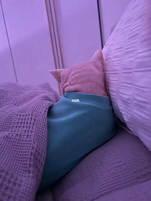 哈哈哈哈大壮每天陪麻麻睡觉这小背影