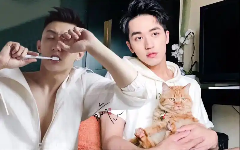 顾海对白洛因的誓言永远是一辈子,不管现实还是小说.白洛因对顾海的痴