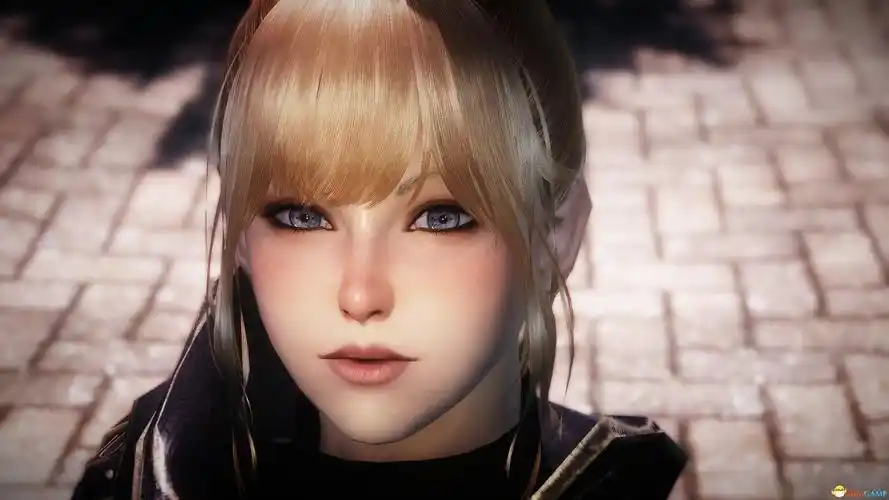 上古卷轴5第三届龙裔参赛作品偶遇克洛薇儿