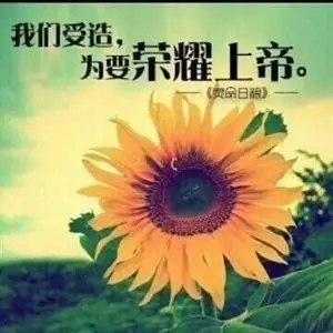 【基督徒处事十条黄金原则】