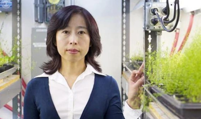 北大才女公派出国47岁当选美国院士如今满载荣誉回国报恩