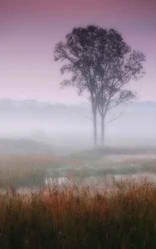 伤感风景高清安卓手机壁纸