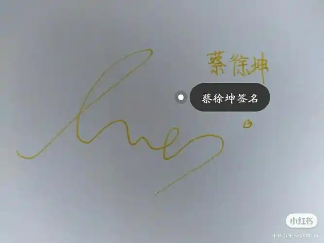 蔡徐坤,angelababy热巴,宋亚轩.签名教程来了!