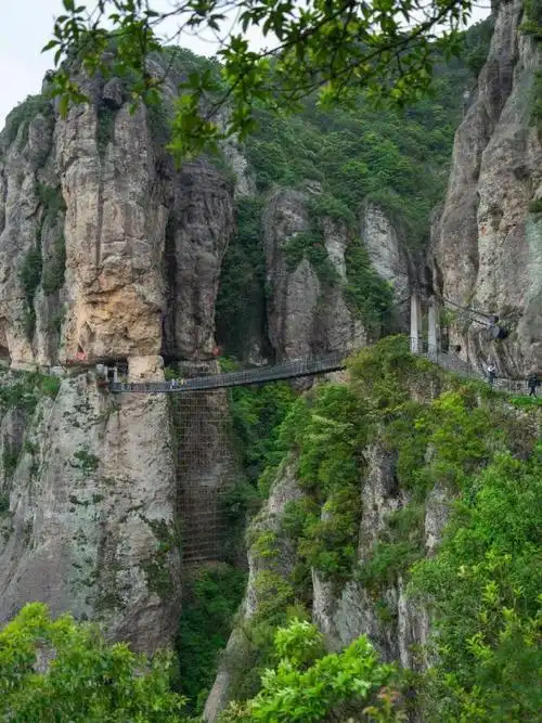 雁荡新绿春山可望##沉浸式徒步雁荡山##来雁荡山上春