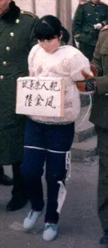 陆金凤被押往陕西咸阳,在公判大会上终审被判处死刑立即执行,剥夺政治