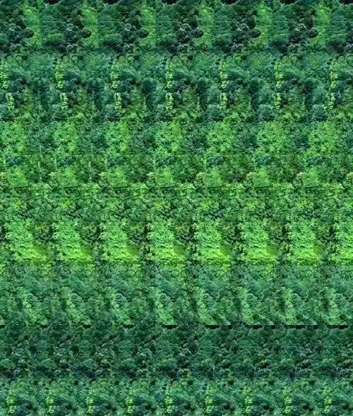 8090后的回忆之裸眼3d,你能看出来吗?