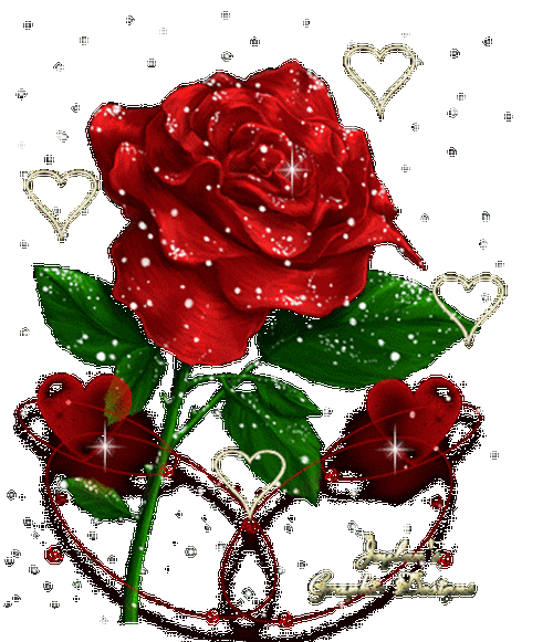 516_600gif 动态图 动图