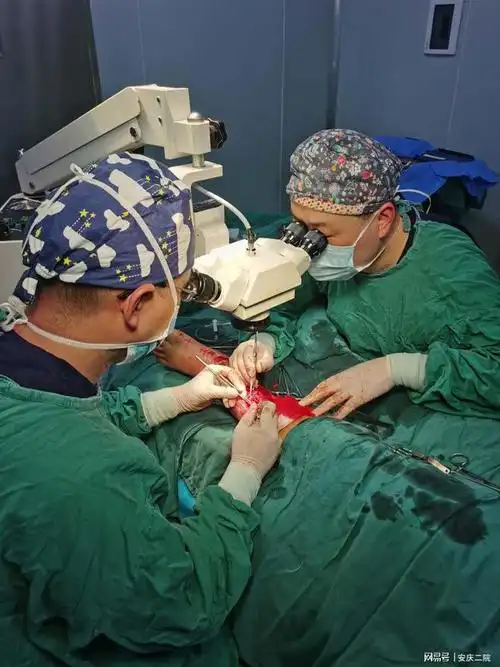 老汉遭遇车祸险失腿 二院断肢再植创奇迹|手术|截肢|外科|显微|肖明