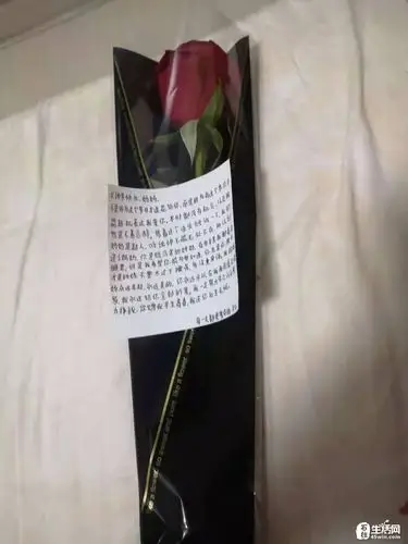 【晒晒节日礼物】有人收到了玫瑰,有人收到了红包,你收到了什么?