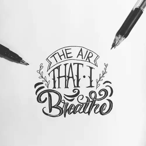 手写花体英文brush lettering 字体练习合集