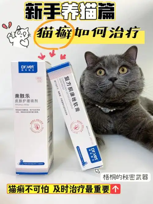 猫癣不可怕及时治疗最重要