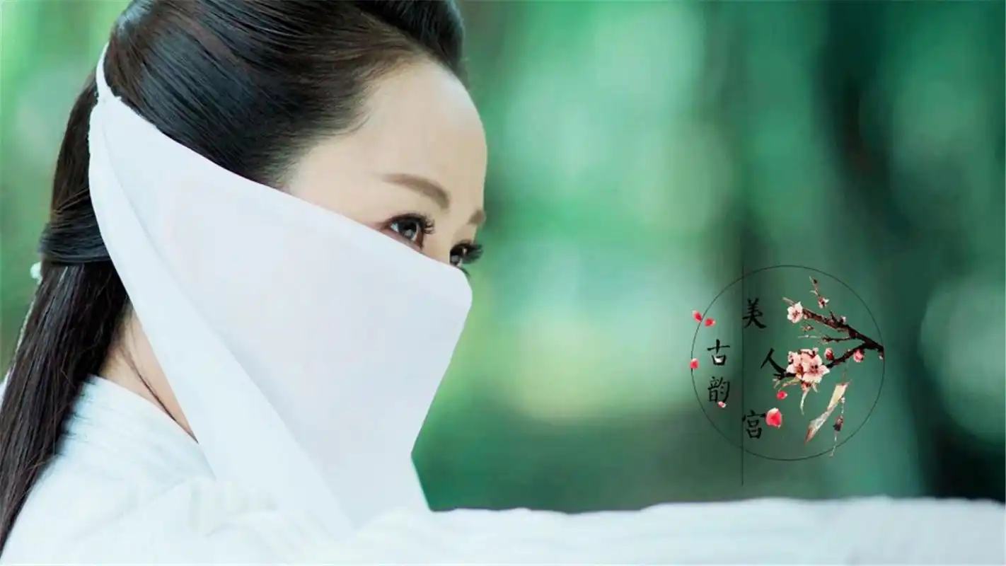 电视剧《飞刀又见飞刀》杨蓉古装美女高清壁纸图片